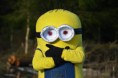 /album/minion/dsc-0455-large-jpg/